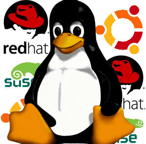 Linux based server consultation